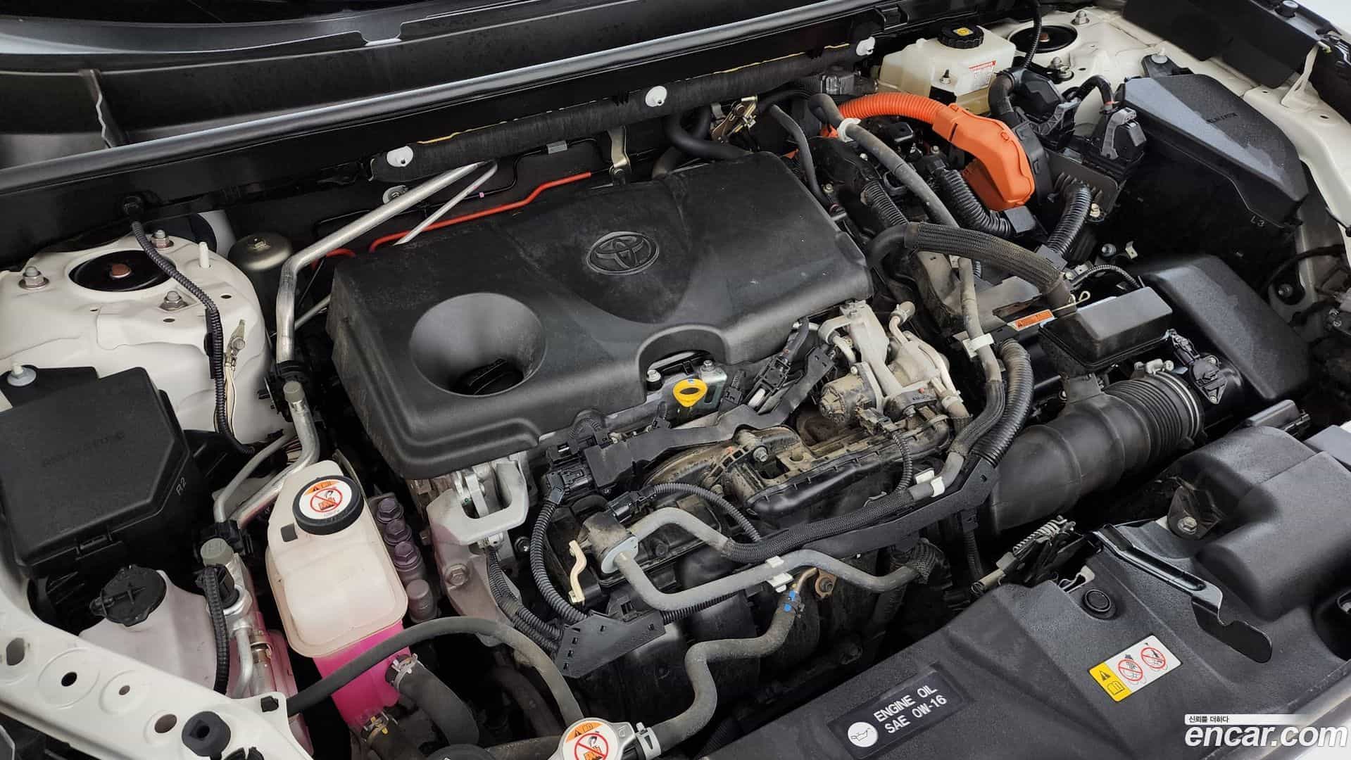 RAV4 Toyota 2019.6-OUTER-006