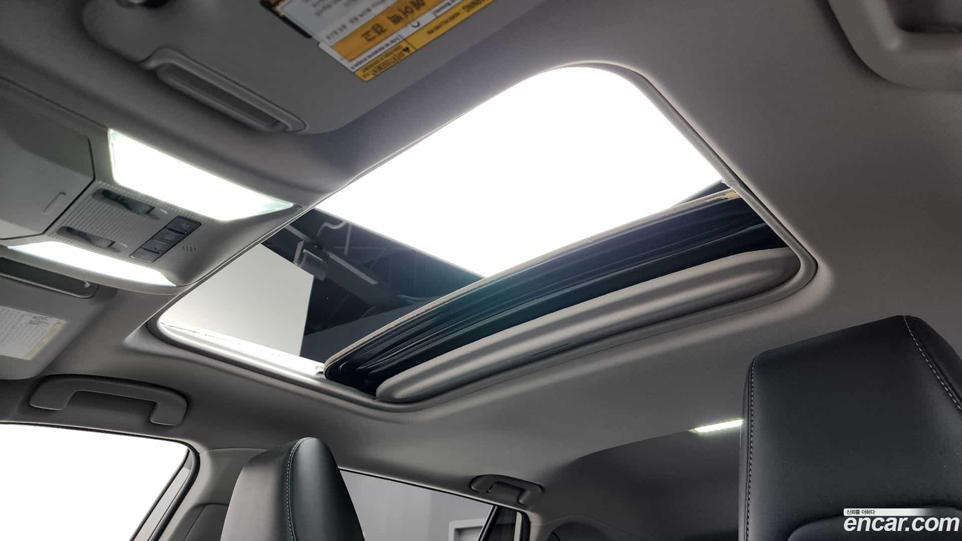 RAV4 Toyota 2019.6-OPTION-020