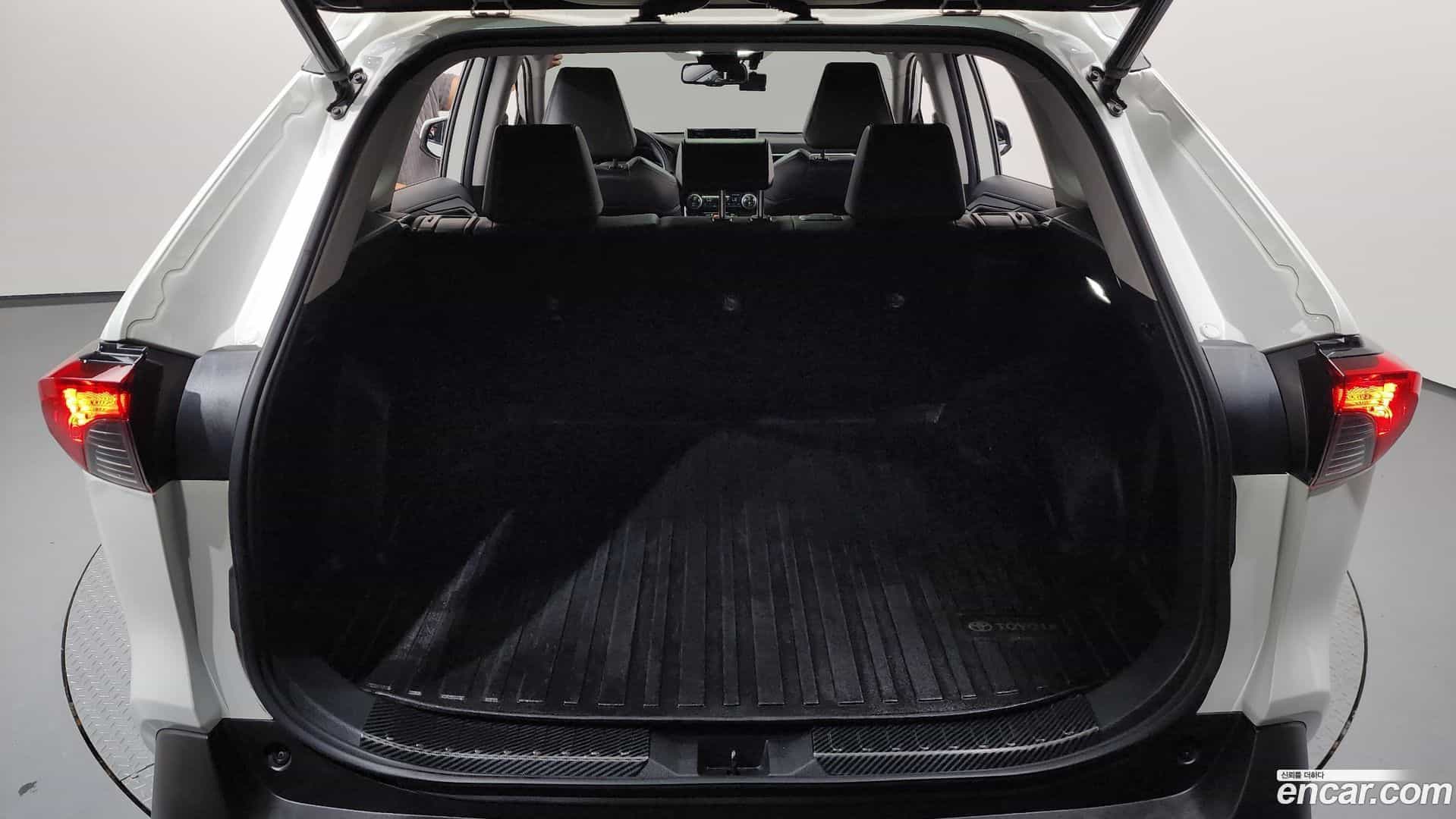 RAV4 Toyota 2019.6-OPTION-022