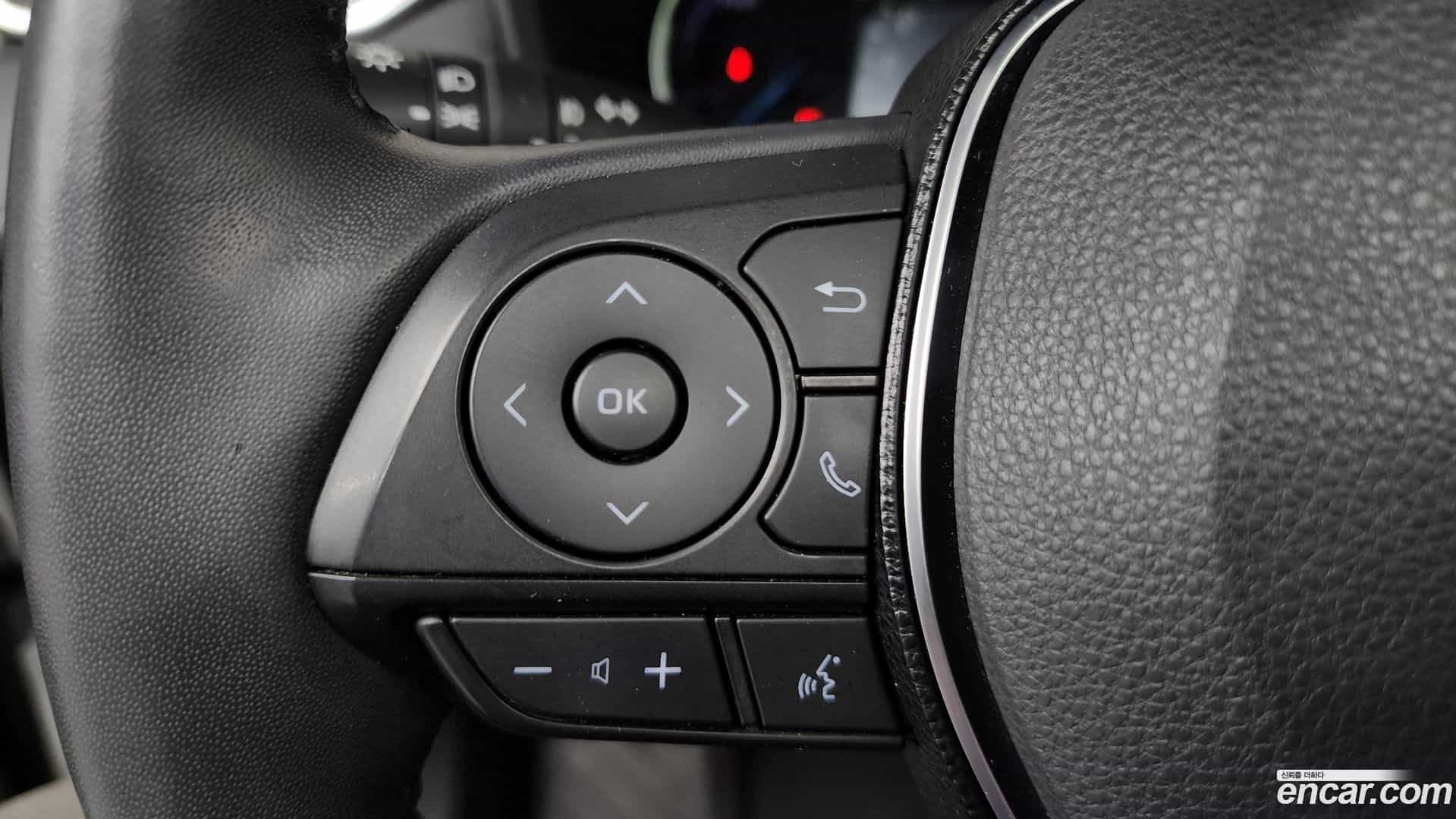 RAV4 Toyota 2019.6-OPTION-046