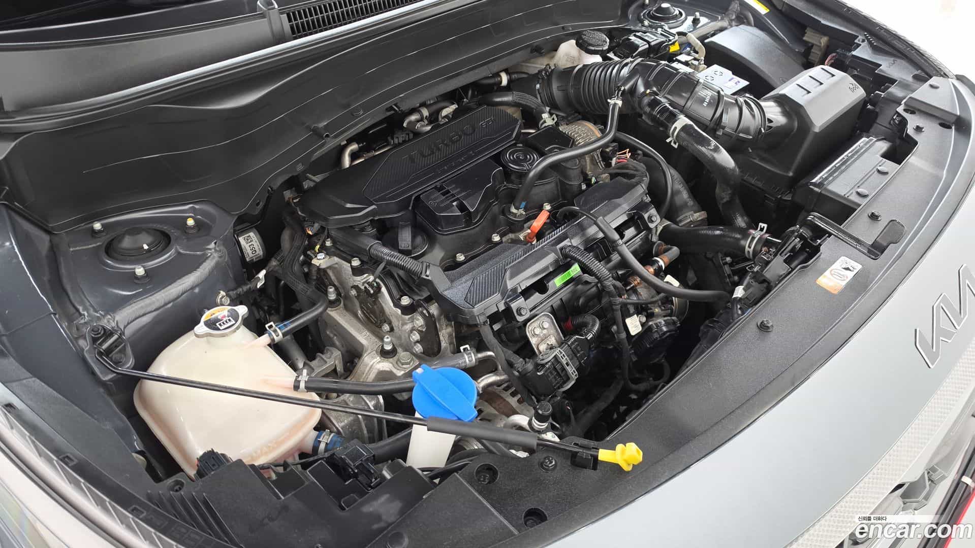 Seltos Kia 2023.6-OUTER-006