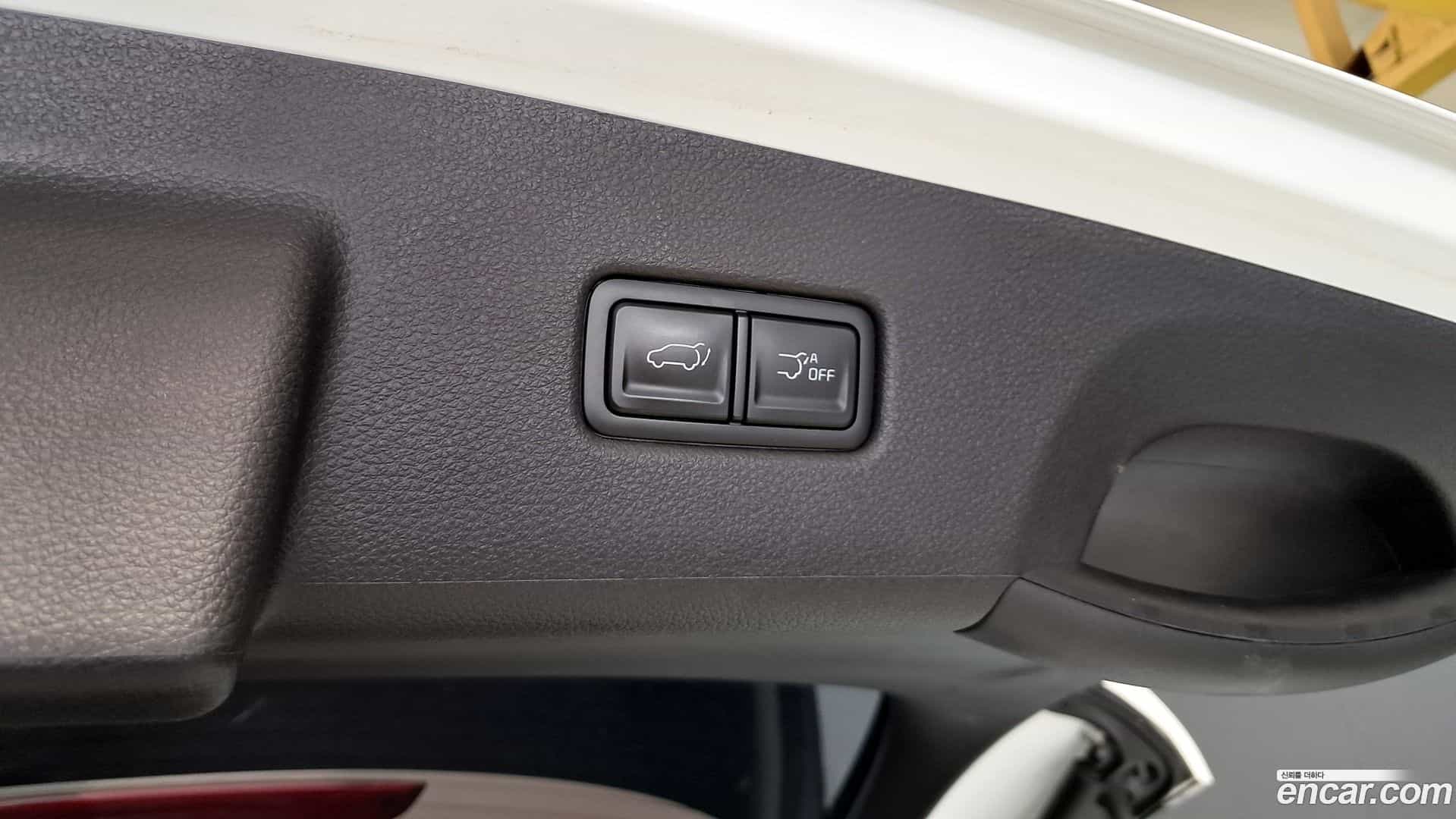 Canival Kia 2021.5-OPTION-022
