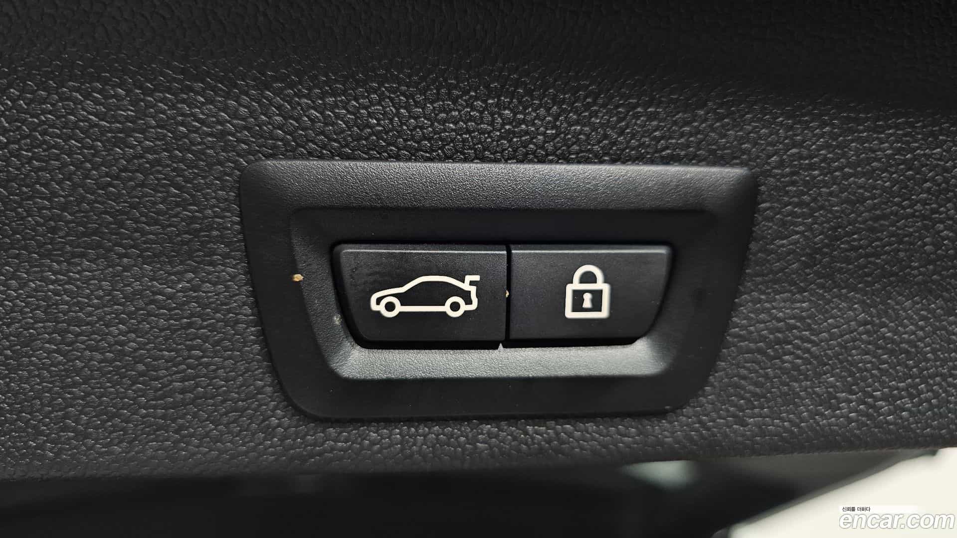 Countryman Mini 2020.6-OPTION-047
