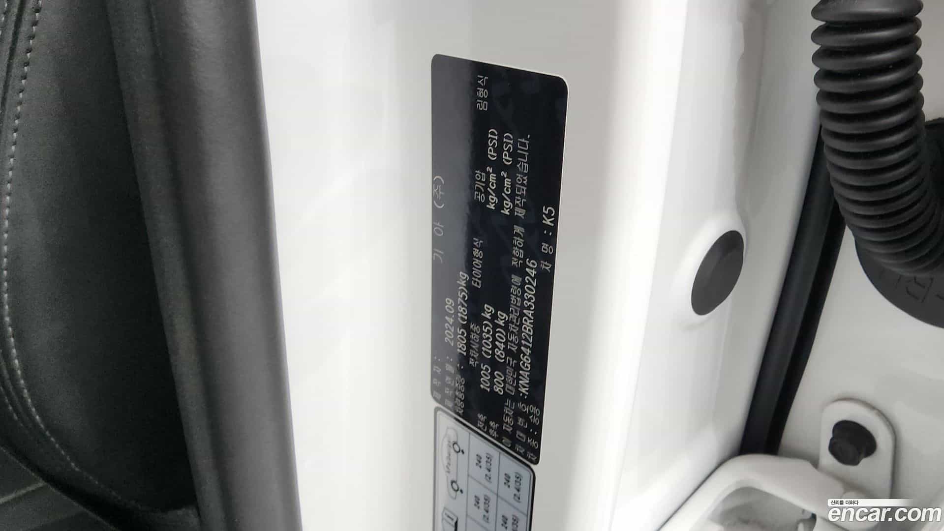 K5 Kia 2024.8-OPTION-024