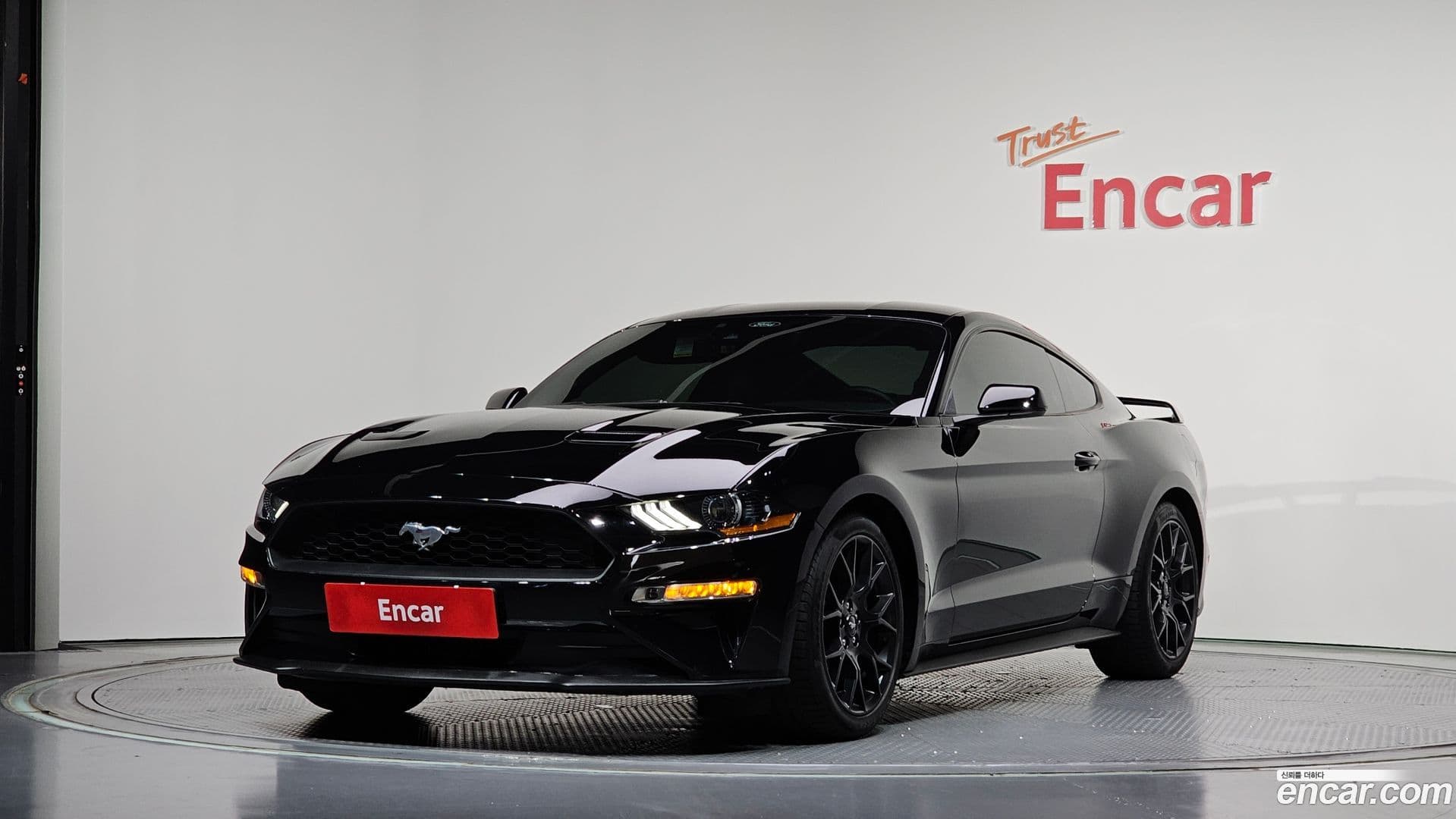 Main__Slider__Photo:Mustang Ford 2022.3-0