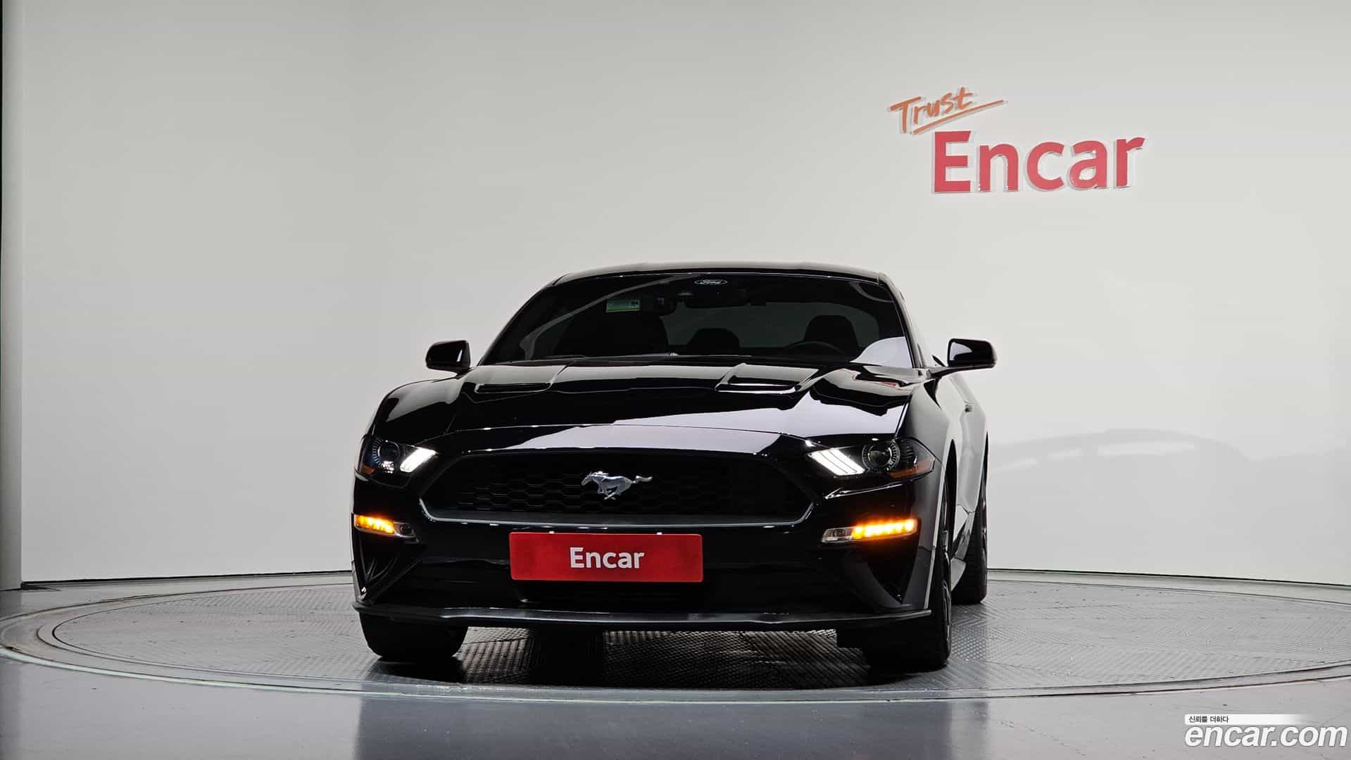 Mustang Ford 2022.3-OUTER-003