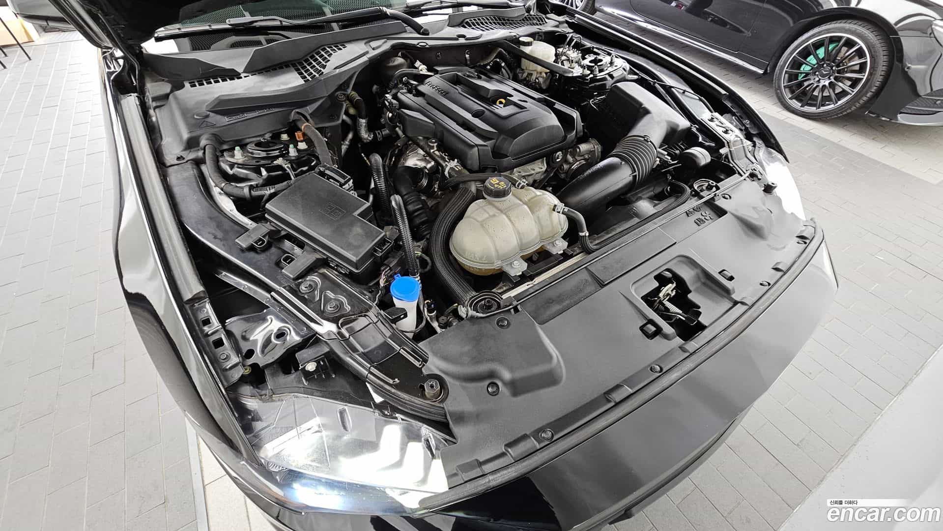 Mustang Ford 2022.3-OUTER-006