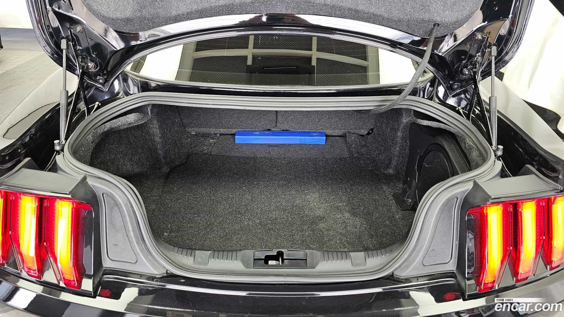 Mustang Ford 2022.3-OPTION-024
