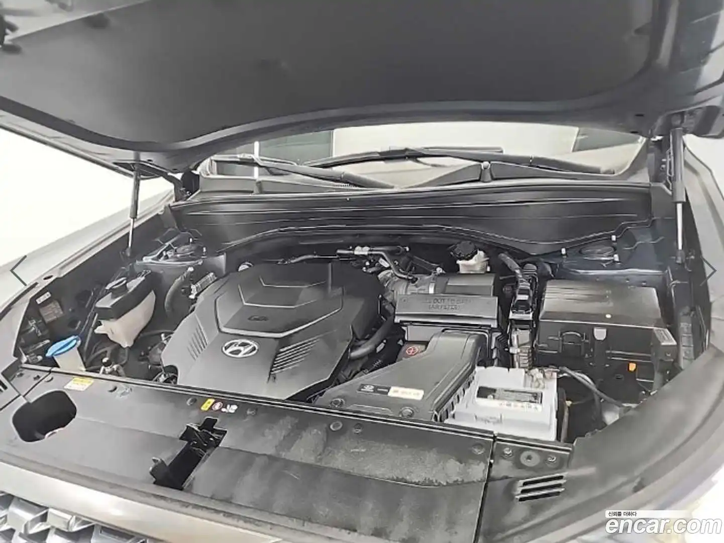 Palisade Hyundai 2019.6-OUTER-005