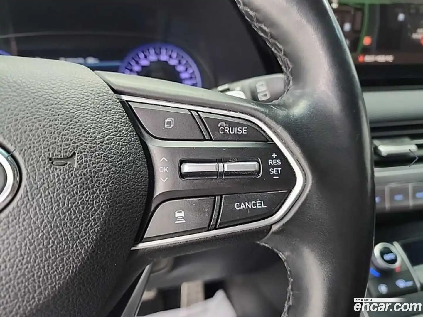 Palisade Hyundai 2019.6-OPTION-021