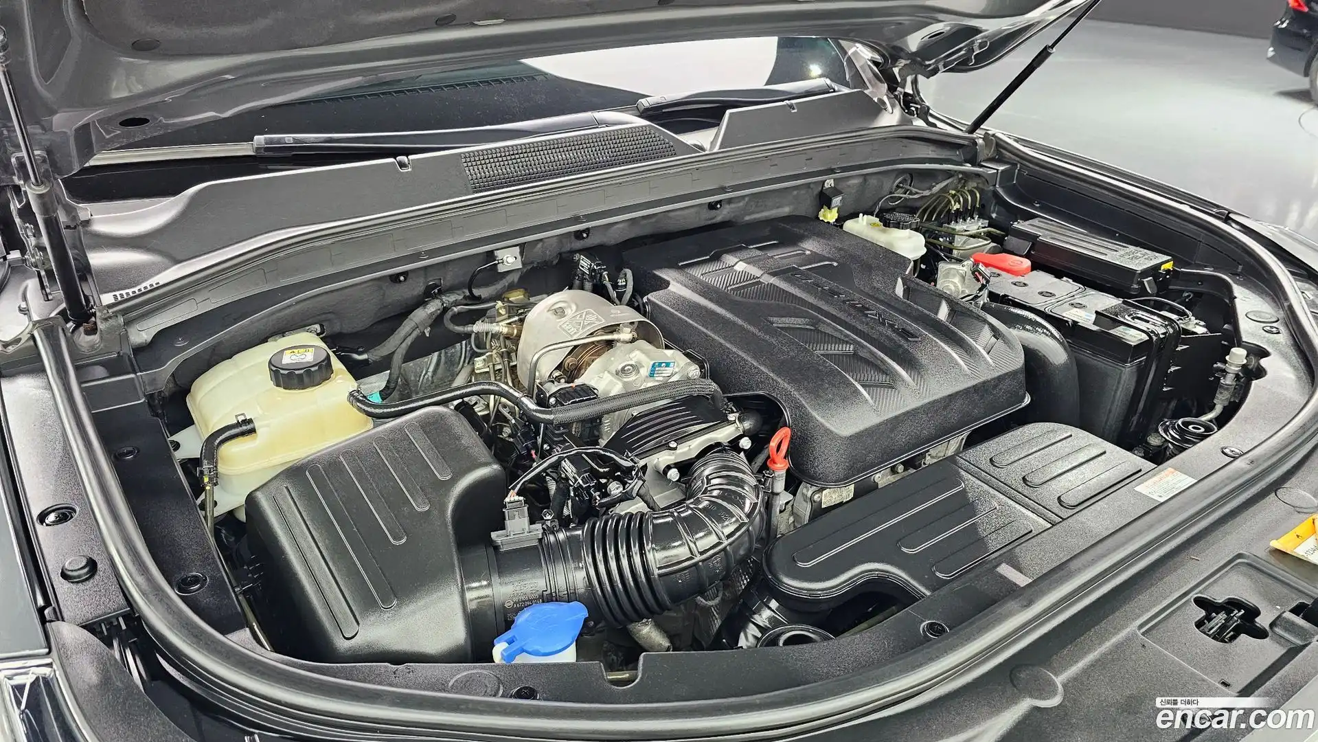 Rexton KG Mobility 2024.8-OUTER-006