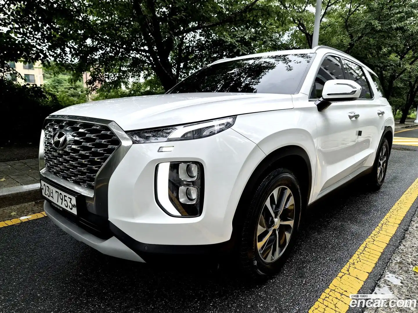 Palisade Hyundai 2019.0-OUTER-001