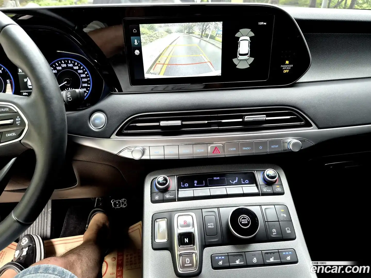 Palisade Hyundai 2019.0-OPTION-020