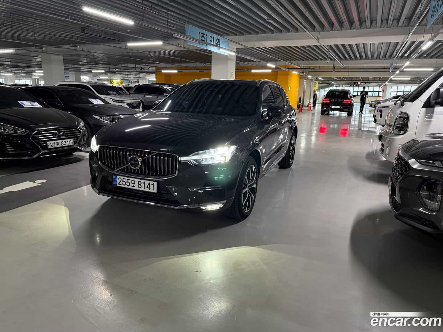 XC60 Volvo 2025.5-OUTER-001