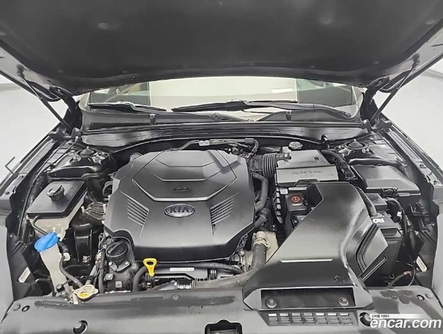 K7 Kia 2019.5-OUTER-005