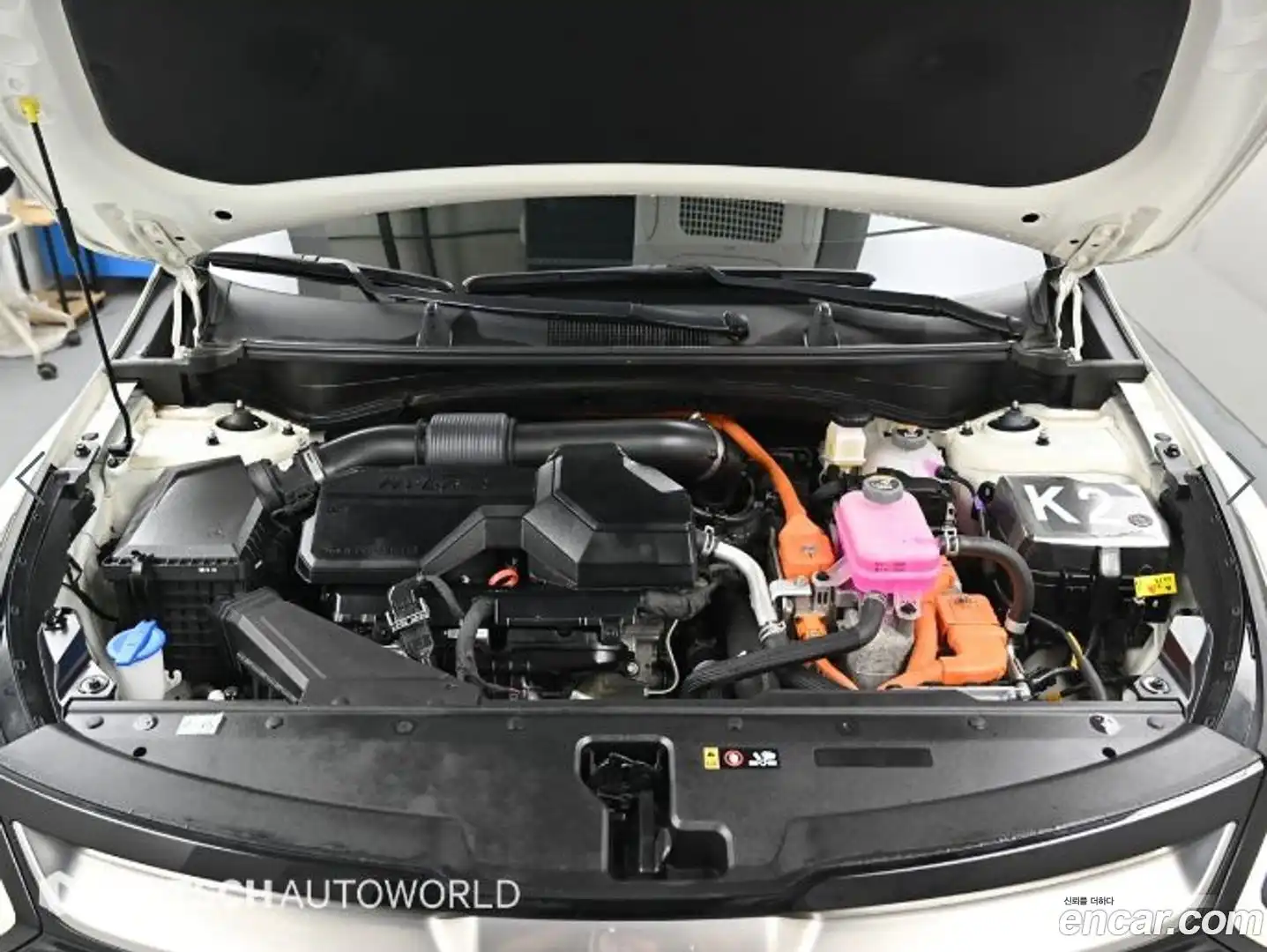 Sportage Kia 2024.11-OUTER-006