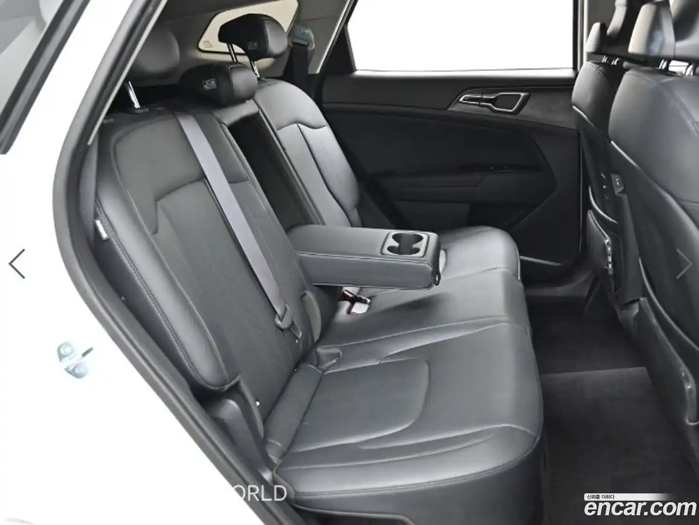 Sportage Kia 2024.11-OPTION-016