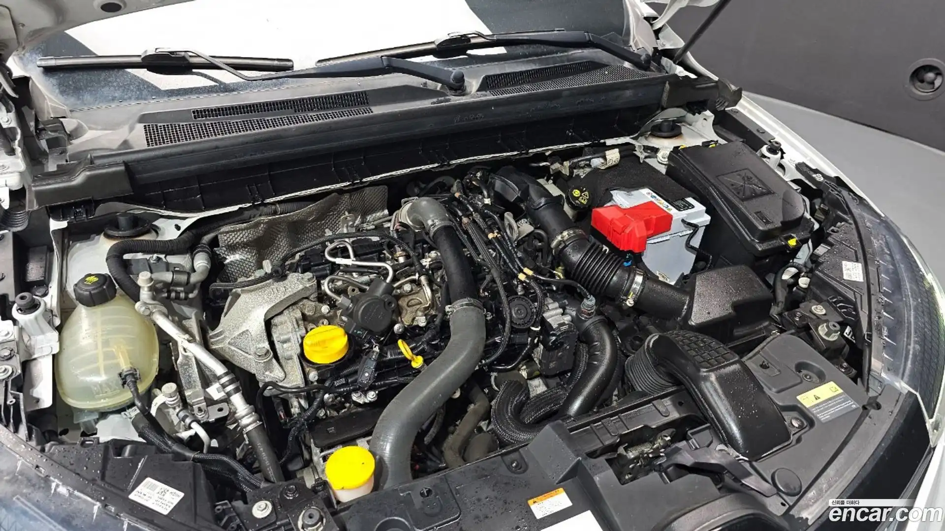 XM3 Renault Korea 2020.2-OUTER-006