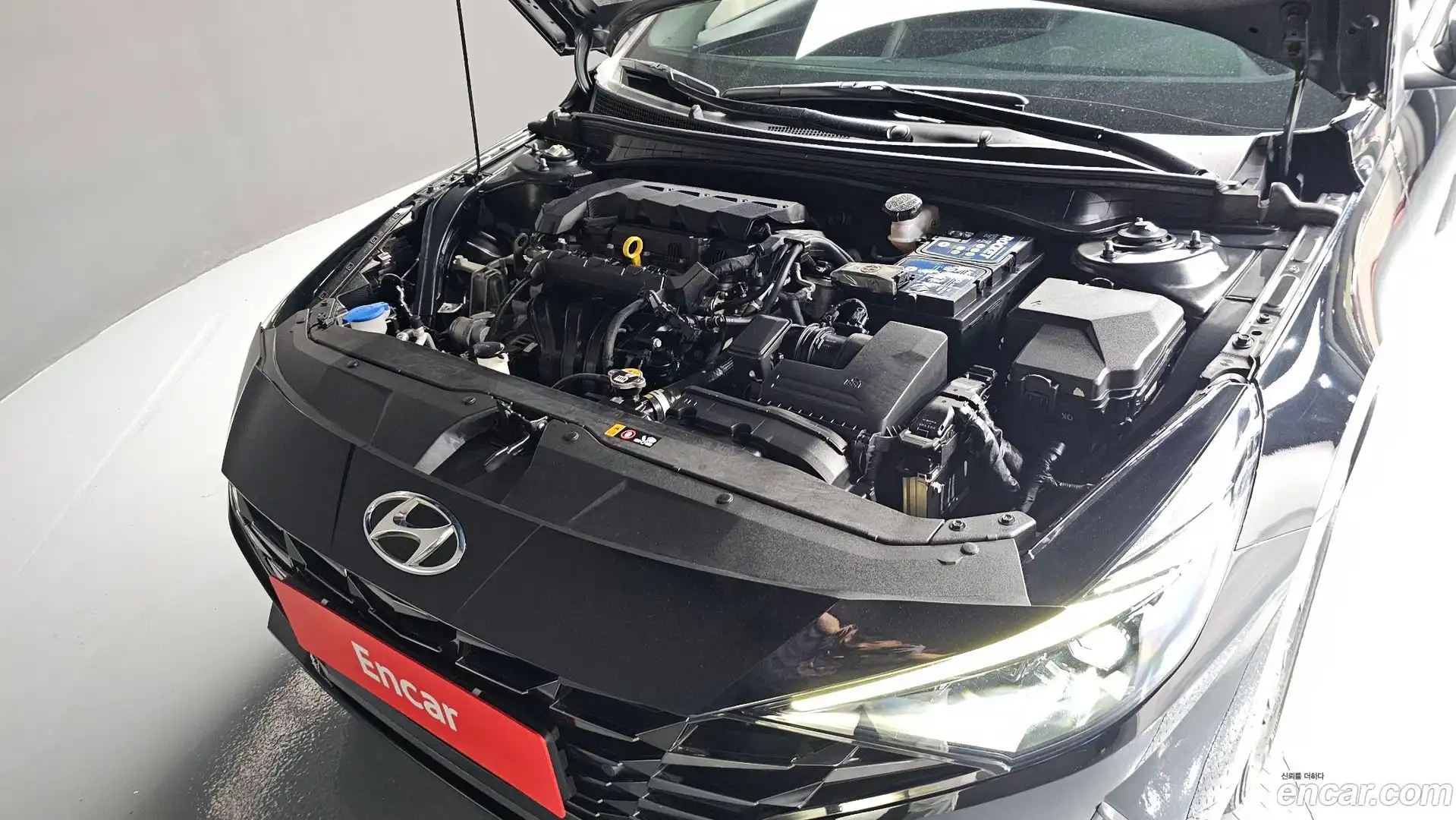 AVANTE Hyundai 2021.8-OUTER-006