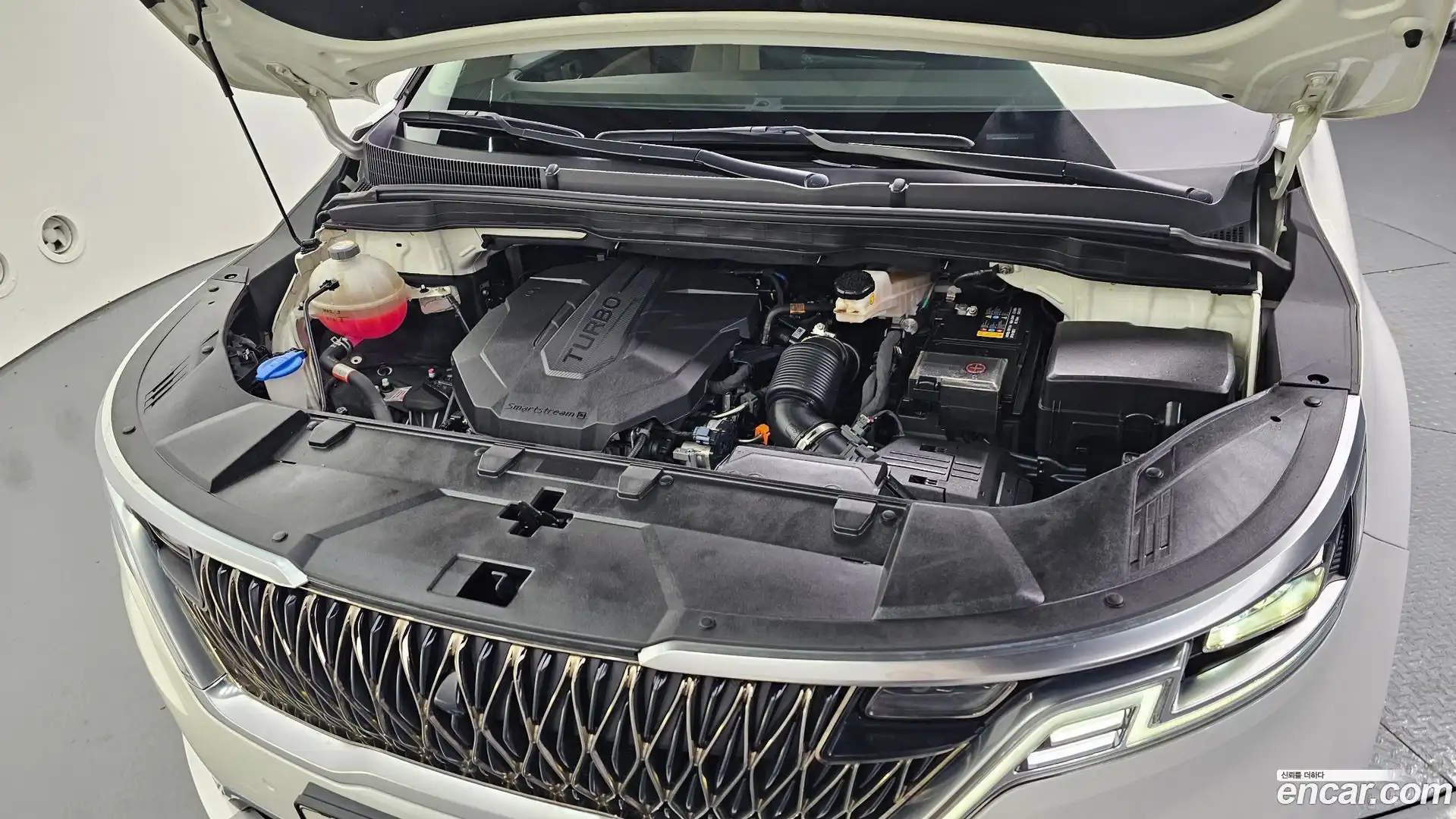 Canival Kia 2021.5-OUTER-006