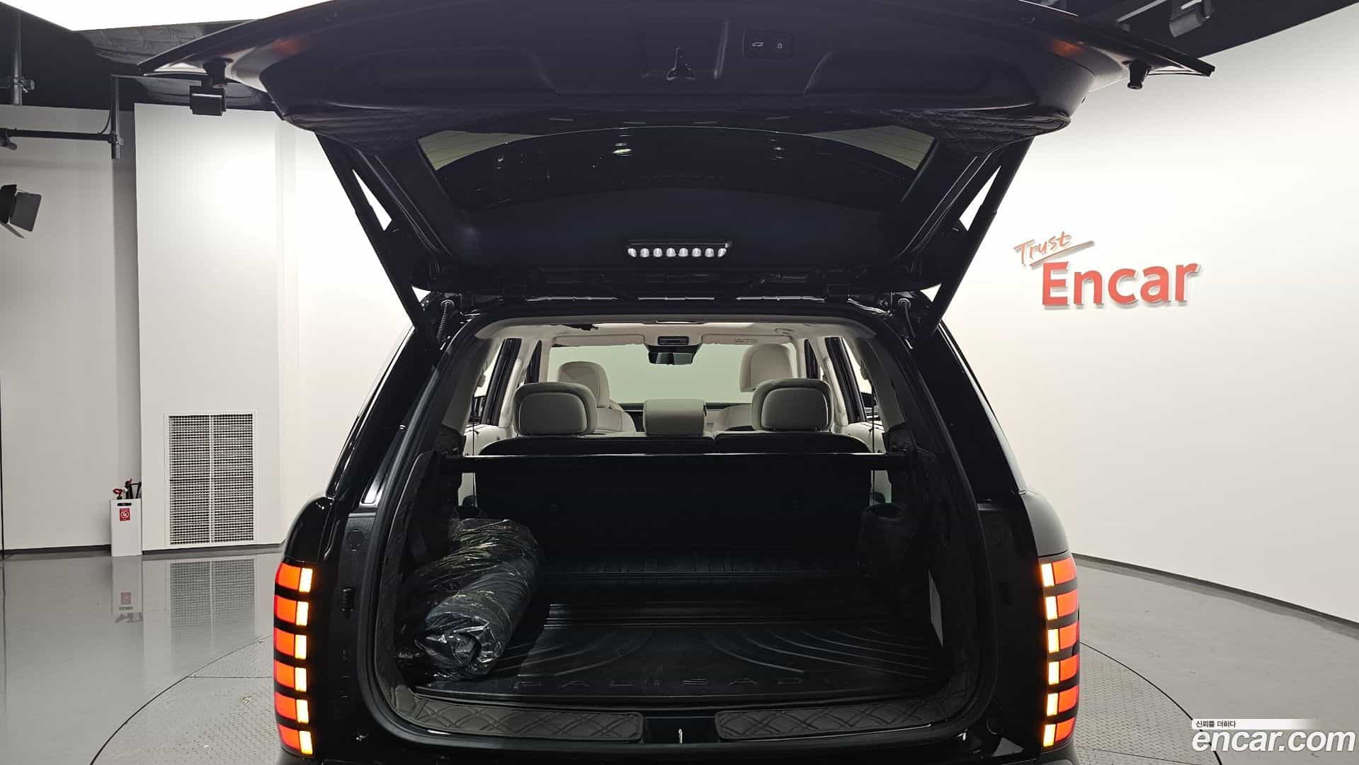 Palisade Hyundai 2025.4-OPTION-051