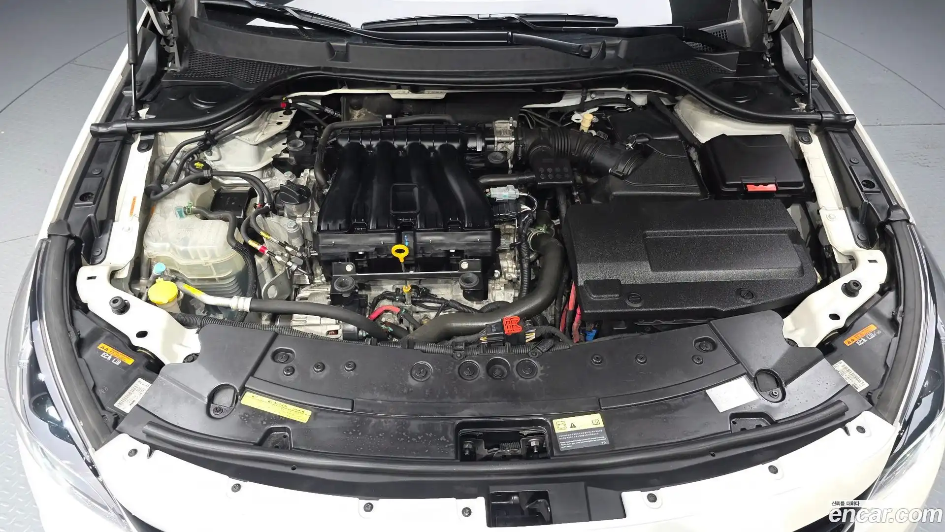SM7 Renault Korea 2018.11-OUTER-006