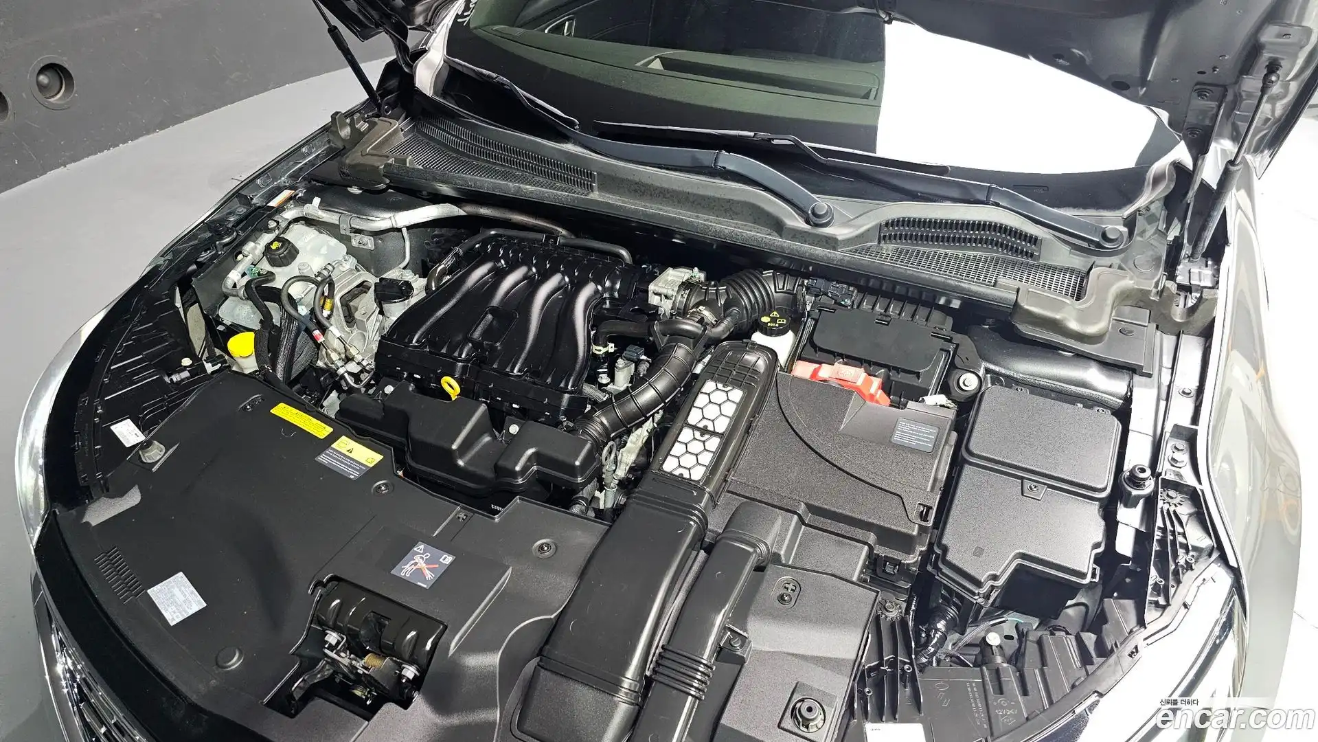 SM6 Renault Korea 2023.10-OUTER-006