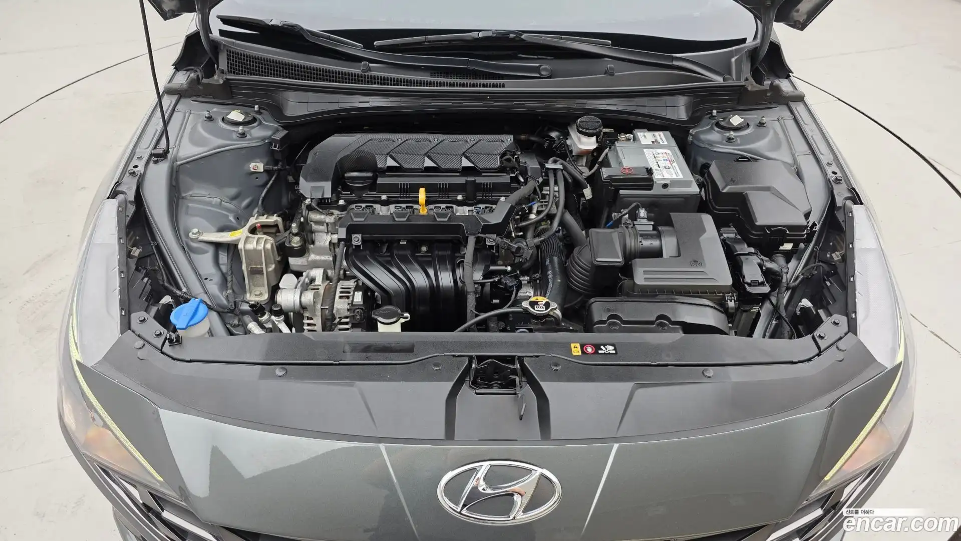 AVANTE Hyundai 2022.6-OUTER-006