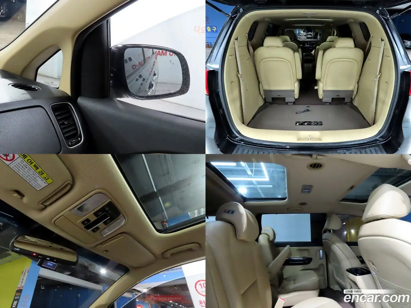 Canival Kia 2018.0-OPTION-022