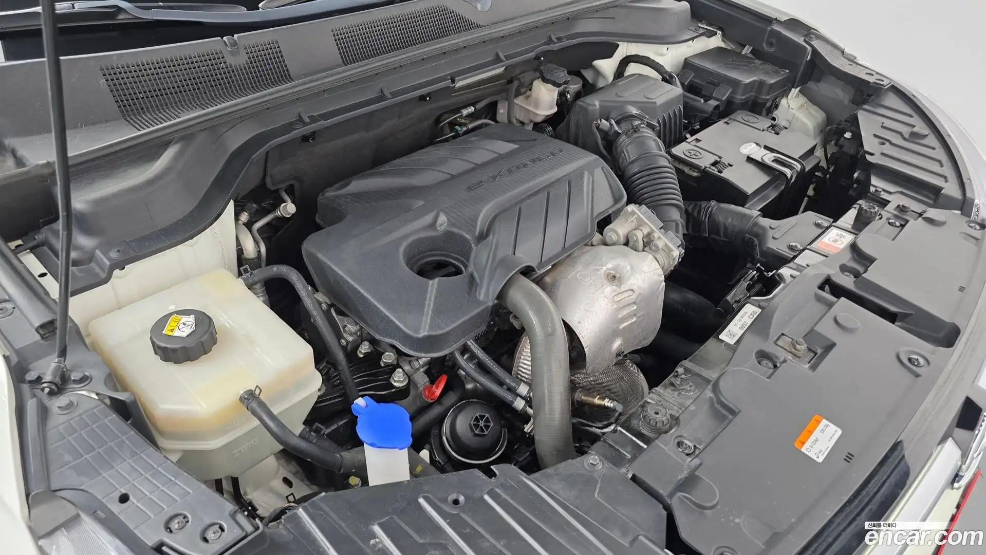 KORANDO KG Mobility 2019.3-OUTER-006