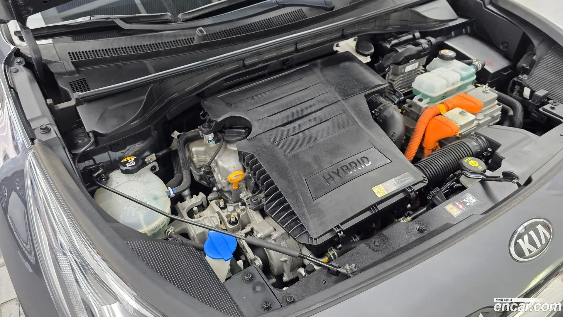 Niro Kia 2019.5-OUTER-006