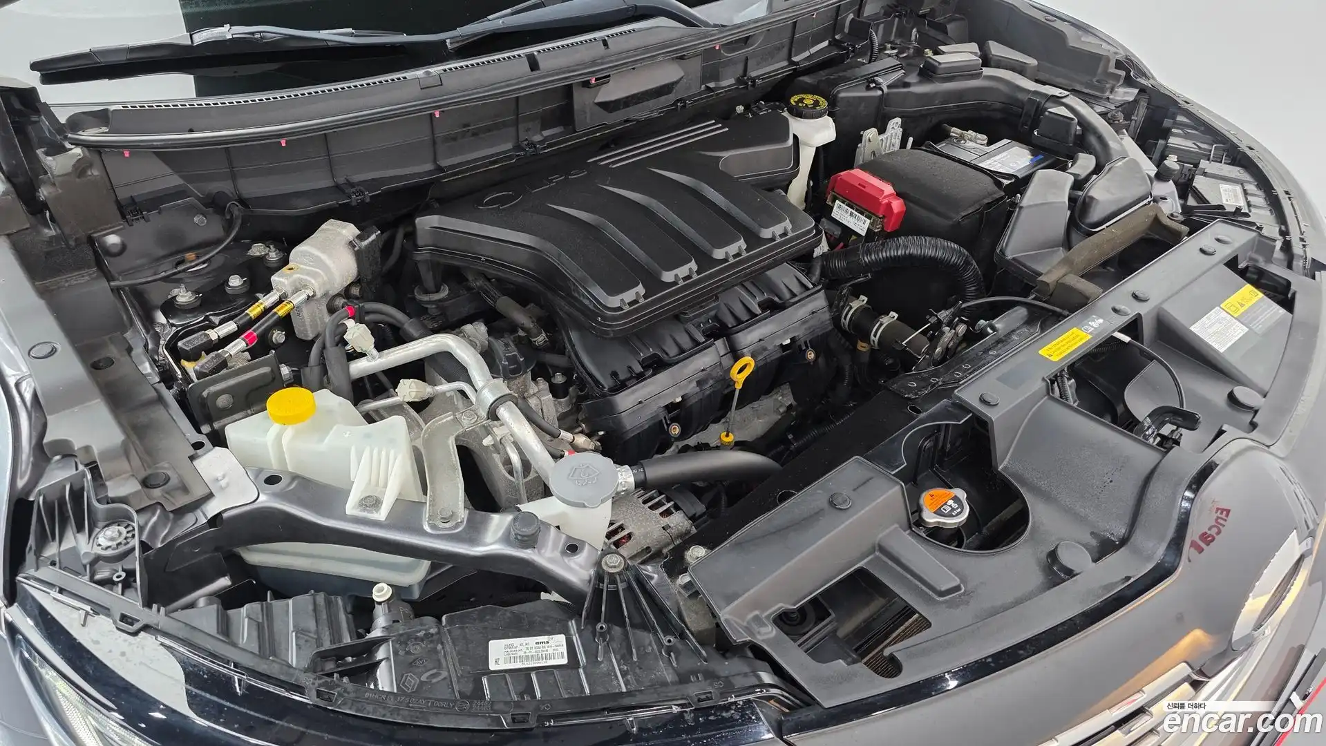 QM6 Renault Korea 2020.8-OUTER-006
