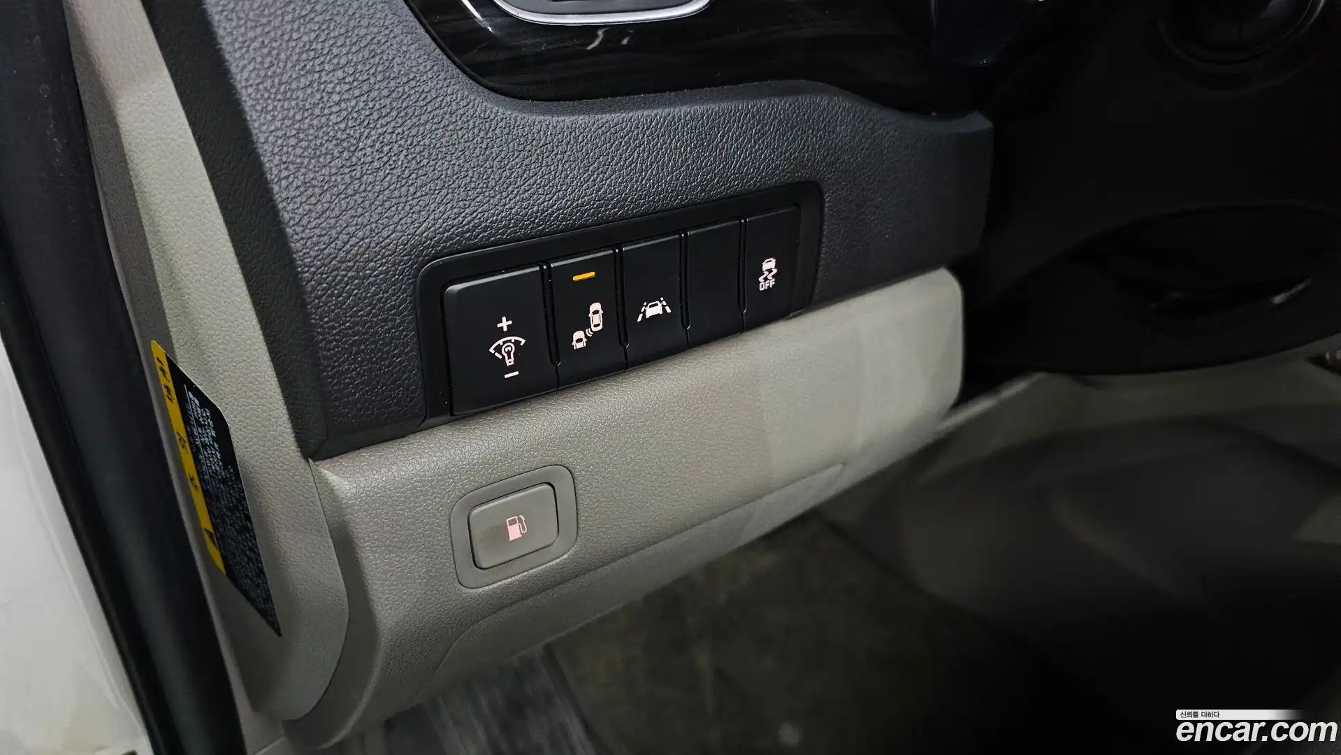 Canival Kia 2019.4-OPTION-020