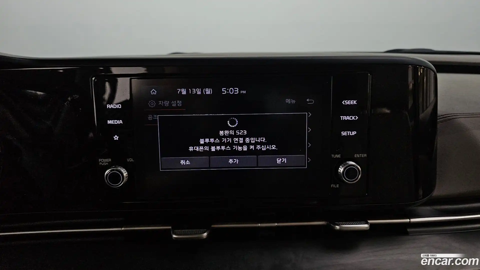 Canival Kia 2020.10-OPTION-044