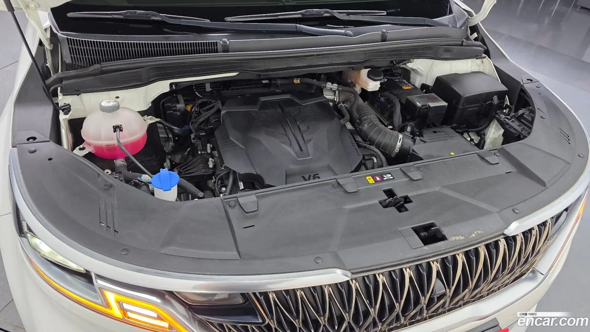 Canival Kia 2021.6-OUTER-006