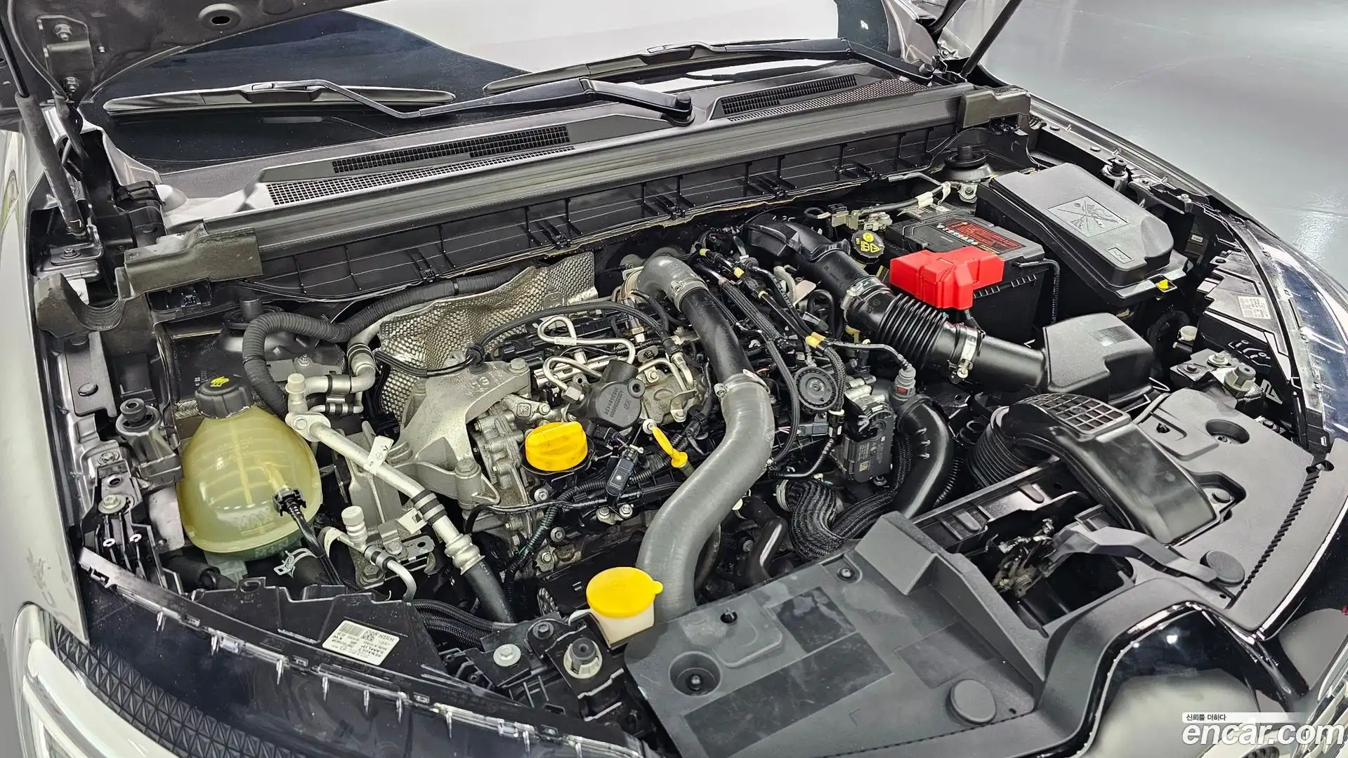 XM3 Renault Korea 2020.3-OUTER-006