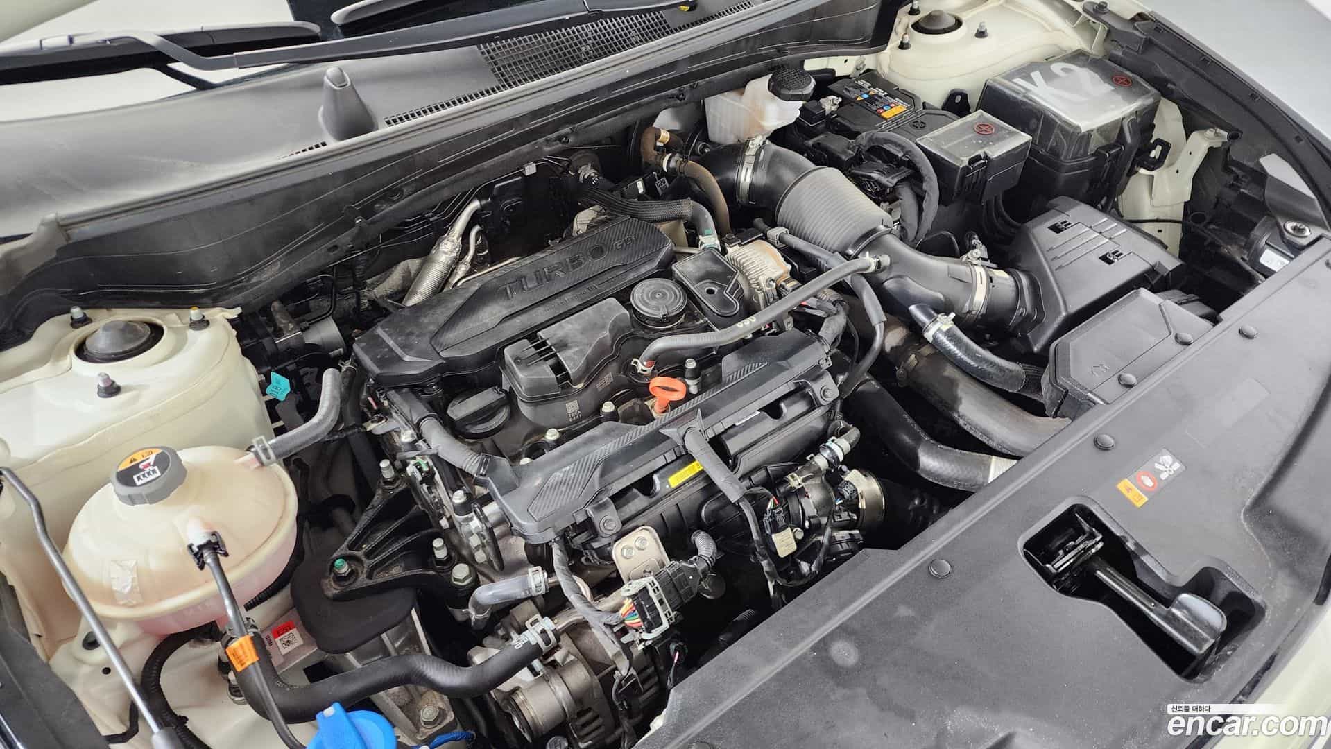 Sportage Kia 2024.2-OUTER-006
