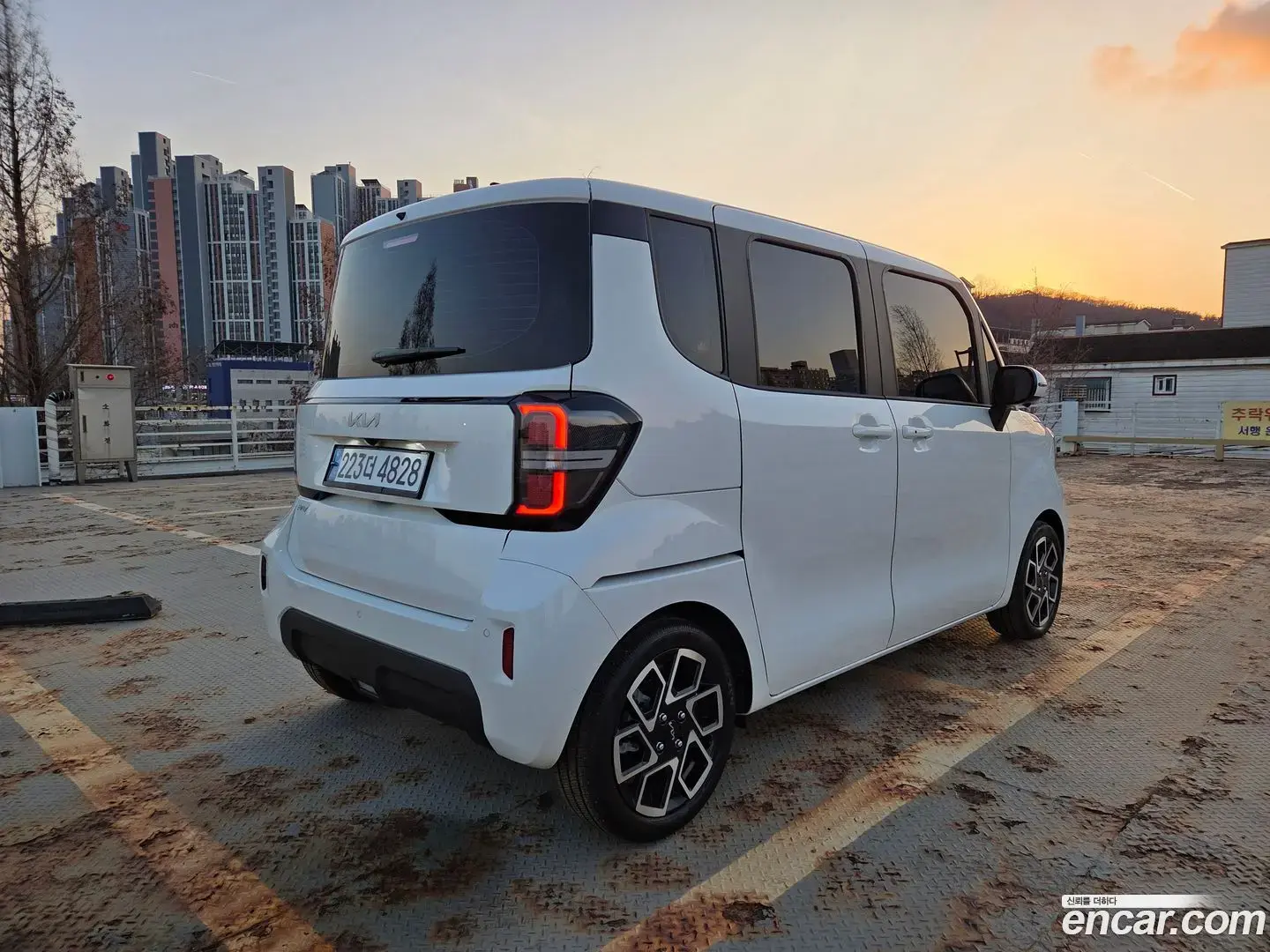 Main__Slider__Photo:RAY Kia 2025.0-1