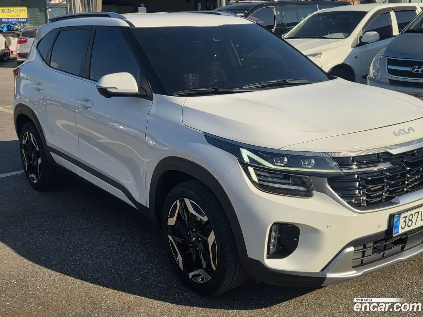 Main__Slider__Photo:Seltos Kia 2024.1-1