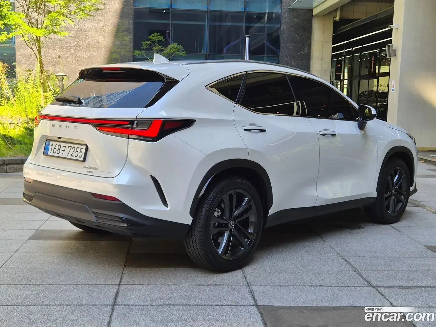 Main__Slider__Photo:NX Lexus 2025.6-1