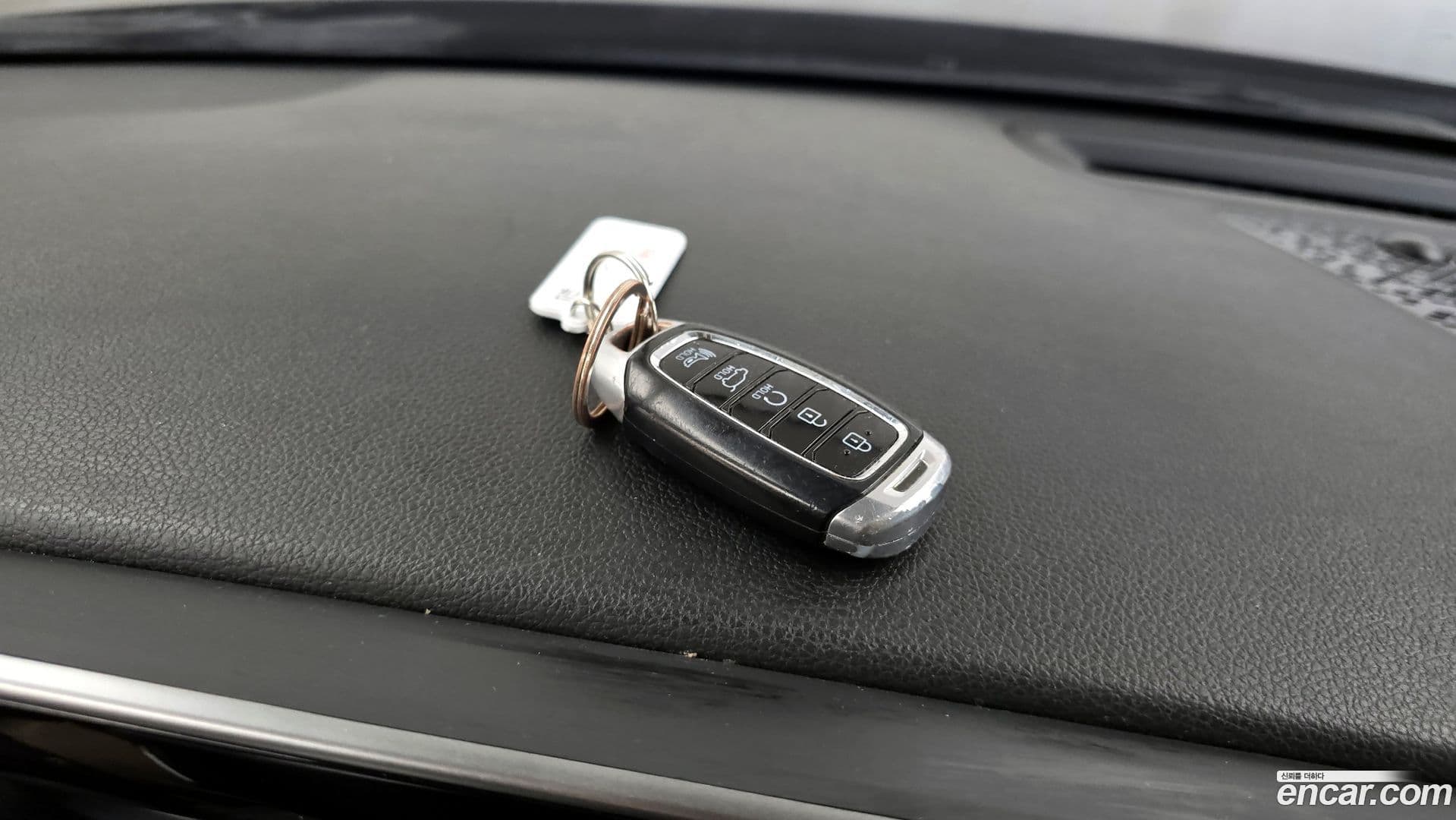 Main__Slider__Photo:Palisade Hyundai 2020.2-17