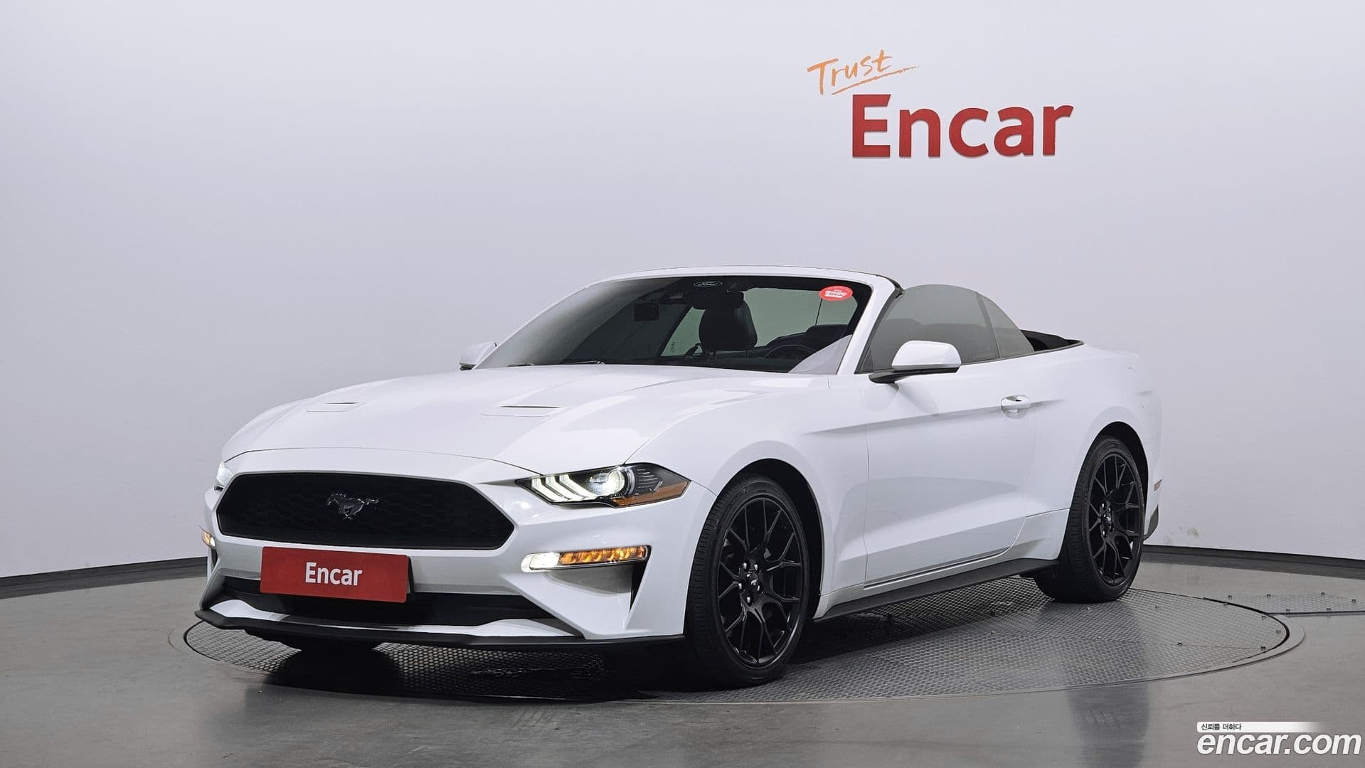 Main__Slider__Photo:Mustang Ford 2021.11-0