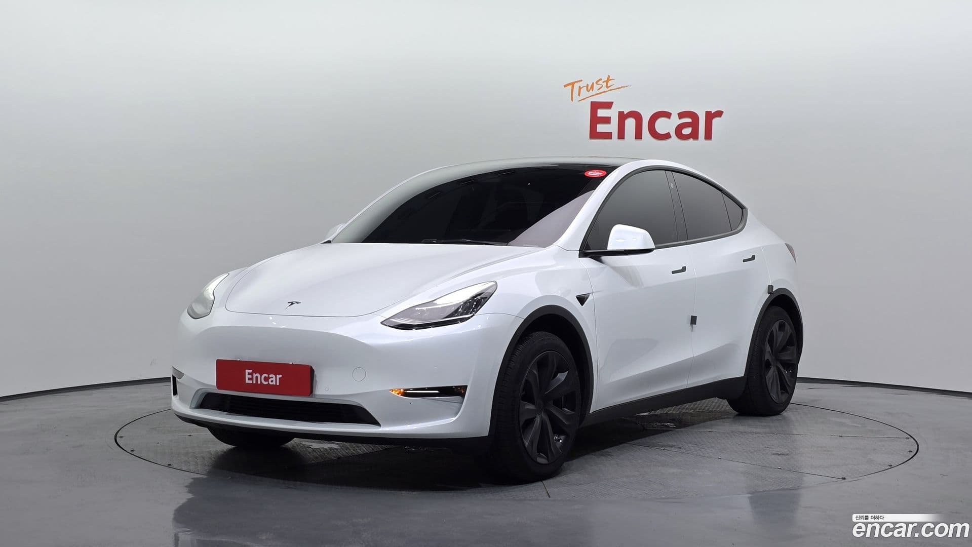 Main__Slider__Photo:Model Y Tesla 2021.8-0