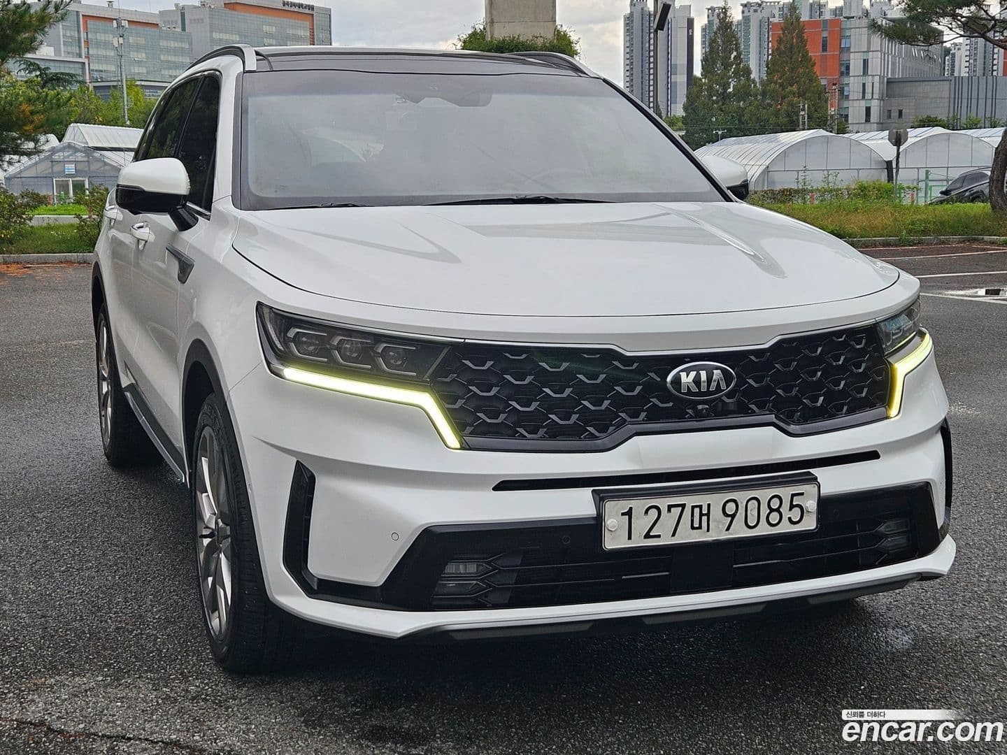 Main__Slider__Photo:Sorento Kia 2020.8-0