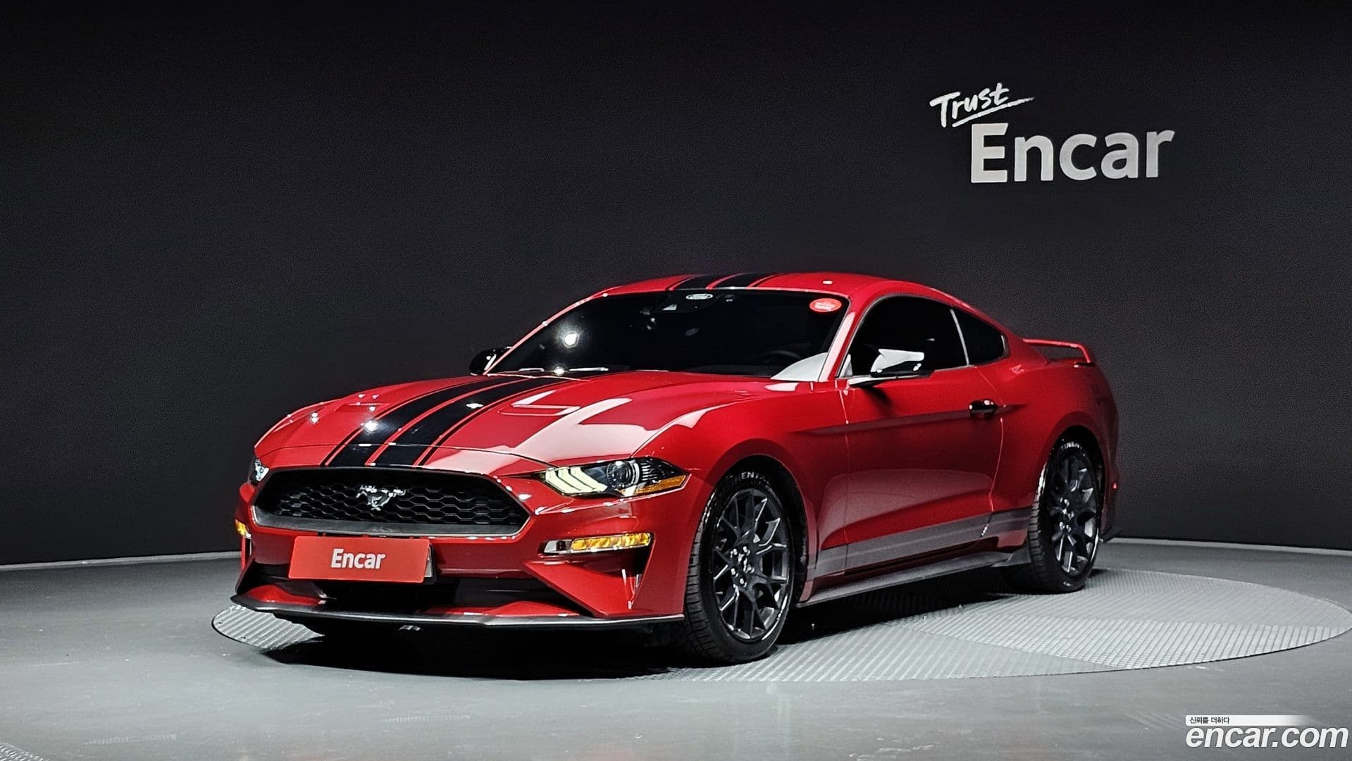 Main__Slider__Photo:Mustang Ford 2019.3-0