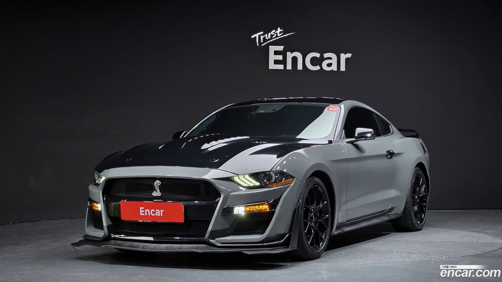 Main__Slider__Photo:Mustang Ford 2019.7-0