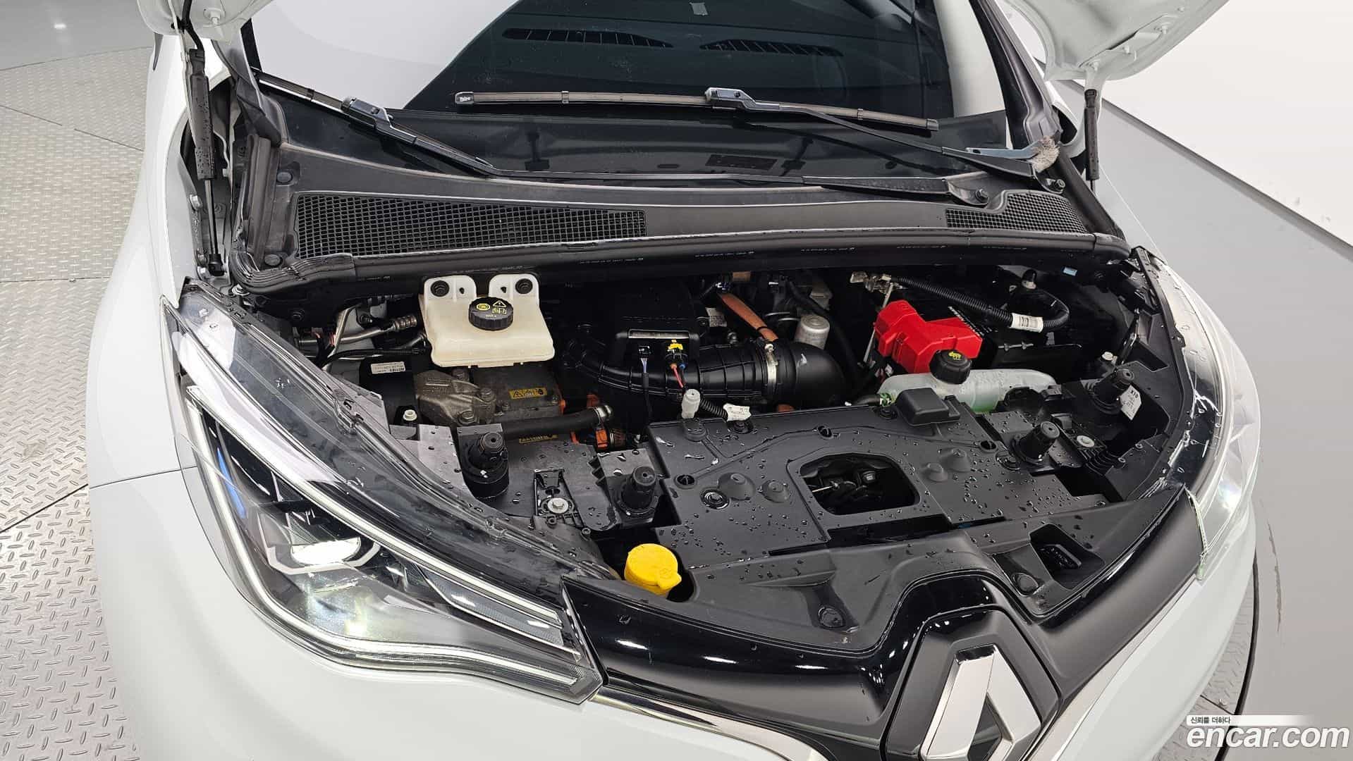 Zoe Renault Korea 2021.4-INNER-006