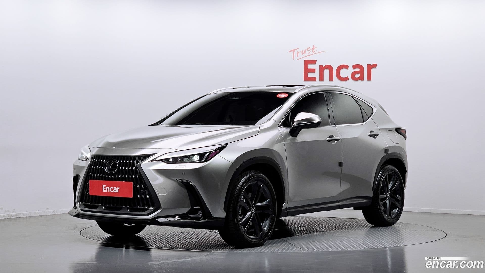 Main__Slider__Photo:NX Lexus 2025.1-0