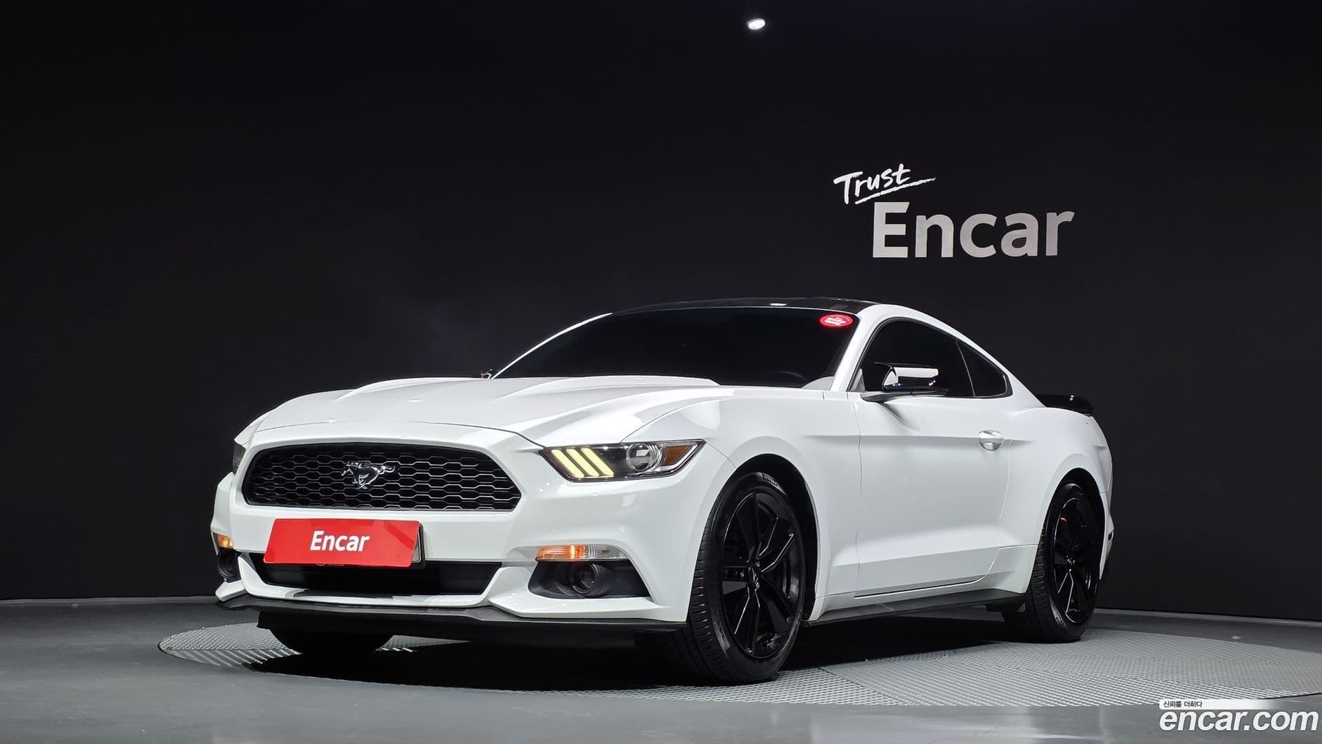 Main__Slider__Photo:Mustang Ford 2016.4-0