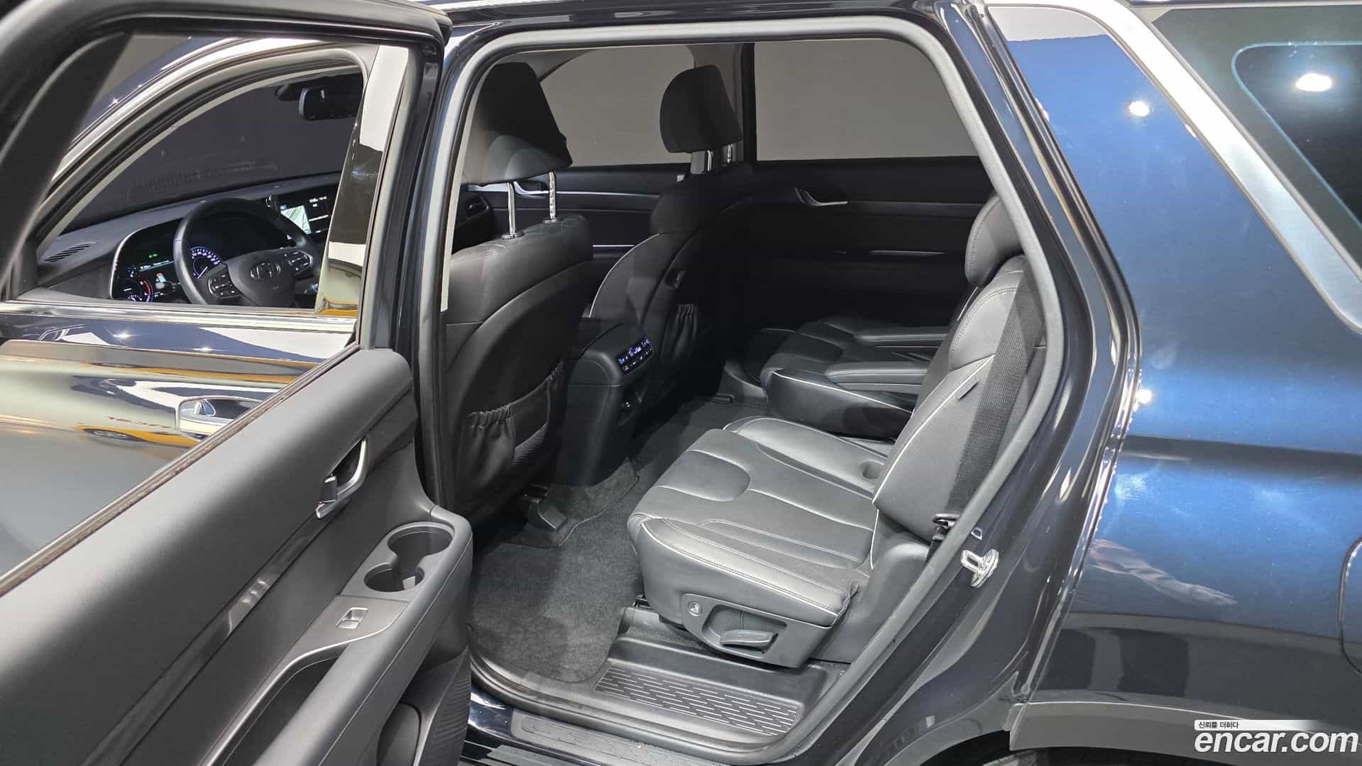 Palisade Hyundai 2019.5-OPTION-015